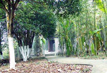 三峡湿地—杨守敬书院第 26 张图片
