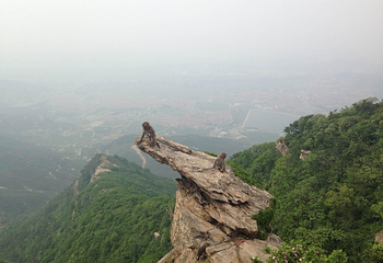 连云港花果山风景区第 12 张图片