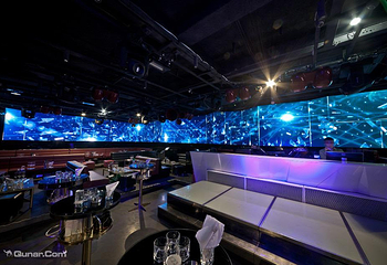 t-Rex Club第 5 张图片