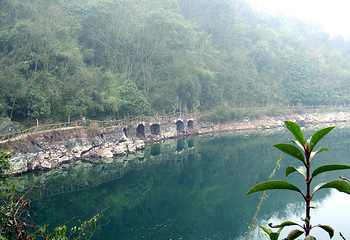 三峡湿地—杨守敬书院第 30 张图片