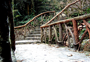 三峡湿地—杨守敬书院第 36 张图片