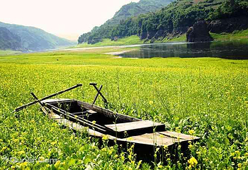 万亩油菜花海第 7 张图片