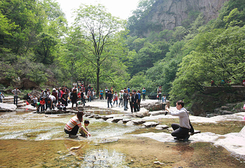 蟒河生态旅游区第 14 张图片