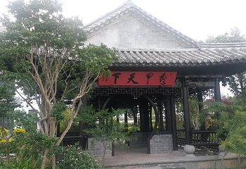 中华普洱茶博览苑第 18 张图片