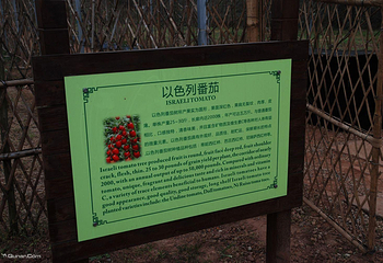 天府庄园第 14 张图片