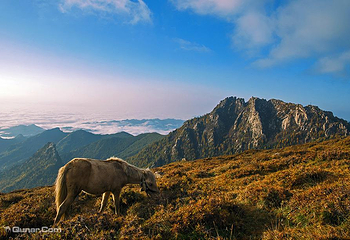 芦芽山旅游度假区第 81 张图片