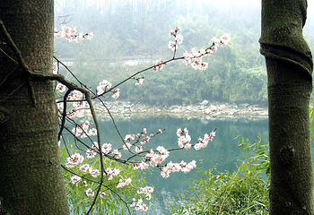 三峡湿地—杨守敬书院第 35 张图片