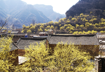 蟒河生态旅游区第 9 张图片