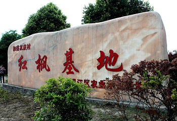 红枫基地第 3 张图片