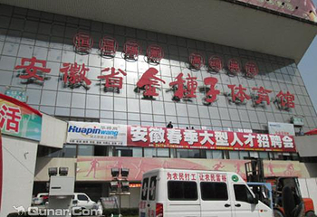 安徽省金种子体育馆第 1 张图片