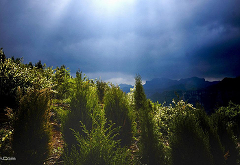 通天峡风景区第 17 张图片