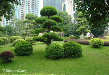 恒大御景半岛运动中心排球馆第 5 张图片
