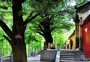 白竹园寺国家森林公园第 9 张图片