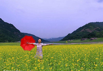 万亩油菜花海第 2 张图片