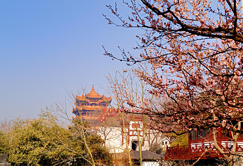 黄鹤楼第 405 张图片