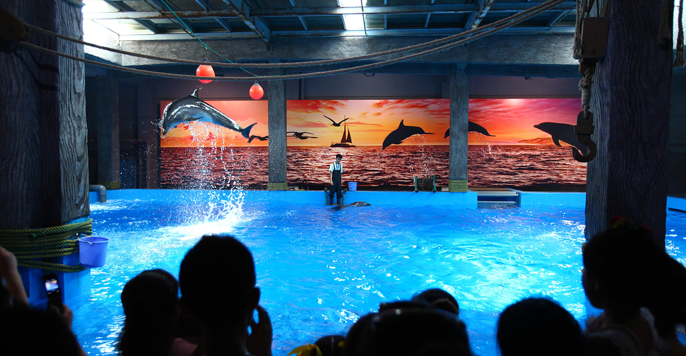 合肥海洋世界成人票