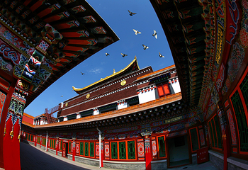 瑞应寺第 9 张图片