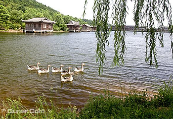 大石山旅游农庄第 1 张图片