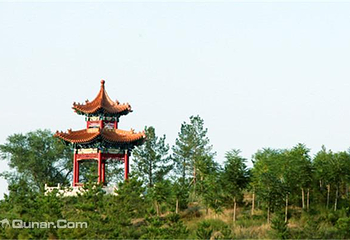忻州九龙岗森林公园第 5 张图片