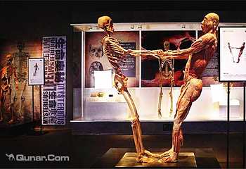 人体世界科普展览第 1 张图片