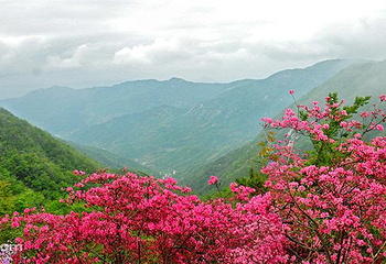 英山县天马寨风景区第 12 张图片