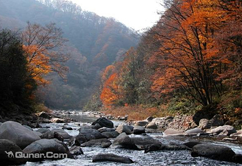 米仓山旅游景区第 3 张图片