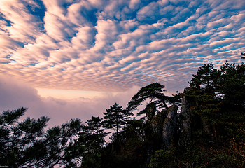 羊狮慕风景区第 12 张图片