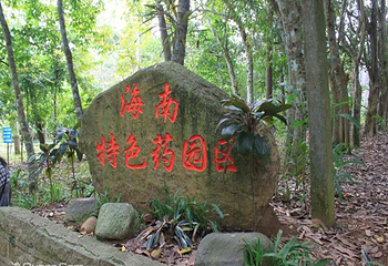 兴隆南药园第 12 张图片