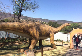 国家植物园(原北京植物园)第 44 张图片