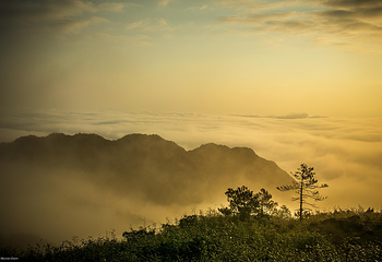 九仙山风景区第 56 张图片