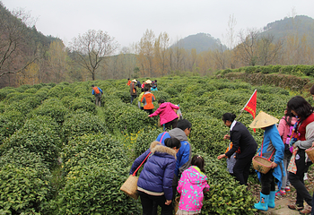 阳城驿景区第 12 张图片