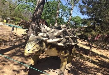 国家植物园(原北京植物园)第 30 张图片