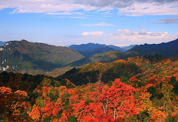 米仓山旅游景区第 2 张图片