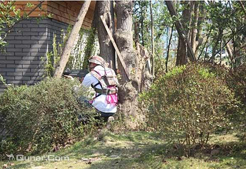 丛林狼真人CS基地第 1 张图片
