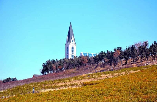 【自动出票】藏马山旅游度假区通票(千禧谷通票 植物园 森林公园)