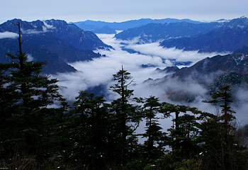 神农架风景区第 35 张图片