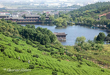 大石山旅游农庄第 2 张图片