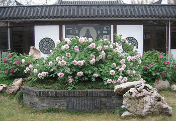 南山第 6 张图片