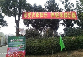 园博园草莓园第 4 张图片