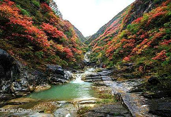 天蓬山寨第 5 张图片