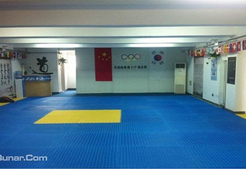 乐武跆拳道第 4 张图片