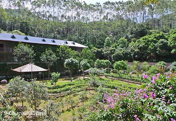 黔霖山度假山庄第 5 张图片