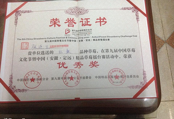 老张草莓种植园第 4 张图片