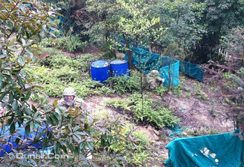 花都梯面百果园野战拓展山庄第 3 张图片