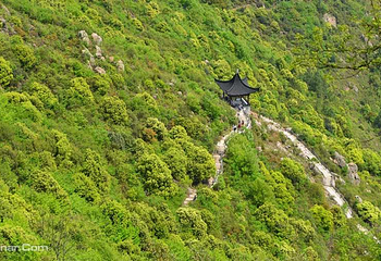 大阳山景区第 9 张图片