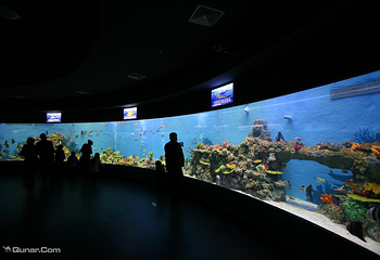 合肥海洋世界第 38 张图片
