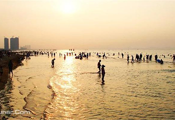 沙滩浴场旅游观光车第 1 张图片