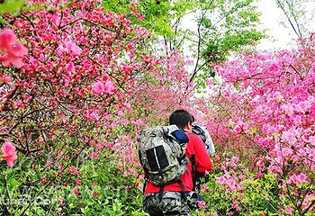 英山县天马寨风景区第 9 张图片