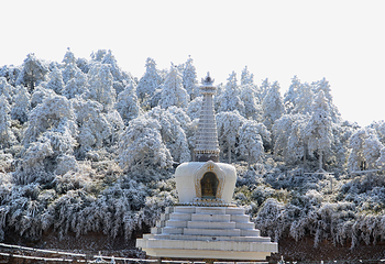 九仙山风景区第 45 张图片