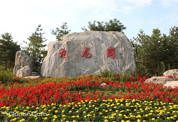 忻州九龙岗森林公园第 2 张图片